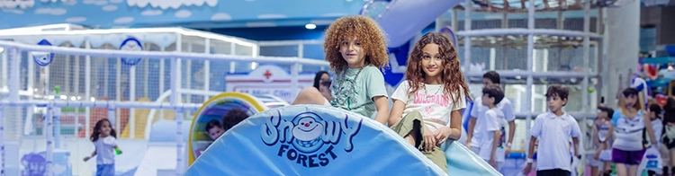 SnowyForest — Premium Arctic Experience